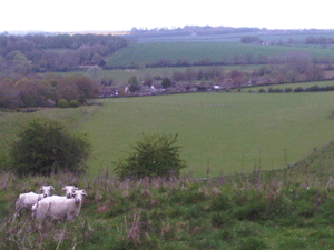 6 mile point - and some confused sheep watch our hill-climbing efforts