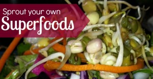 Sprout Your Own Superfoods