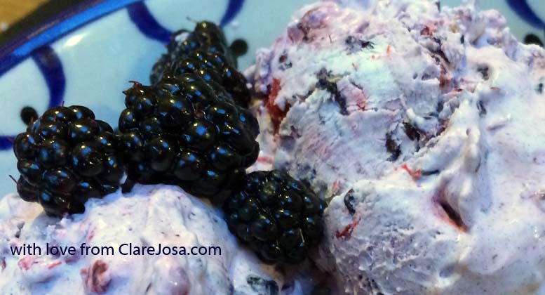 Sugar-free blackberry ice cream recipe