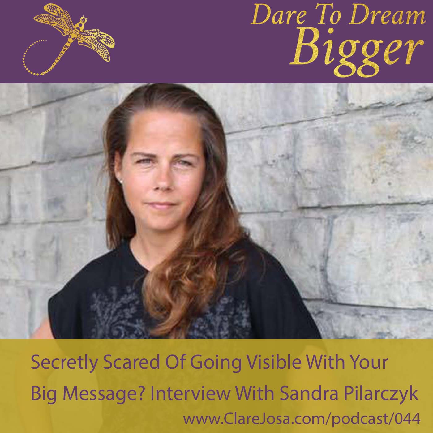 Secretly Scared Of Going Visible With Your Big Message? Interview With Sandra Pilarczyk [DTDB044] http://www.clarejosa.com/podcast/044/