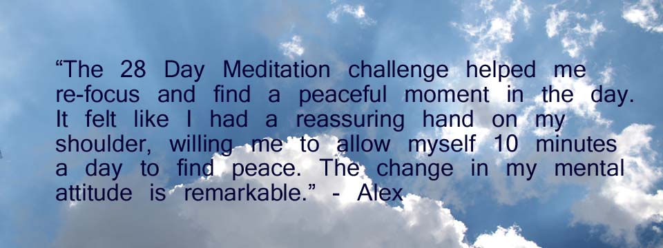 28 Day Meditation Challenge Feedback