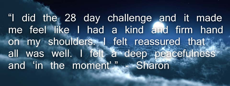 28 Day Meditation Challenge Feedback