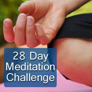 Join the 28 Day Meditation Challenge
