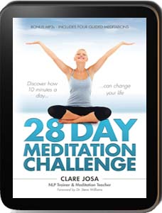 28 Day Meditation Challenge Online Course
