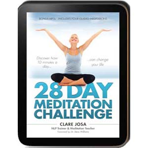 28 Day Meditation Challenge Kindle