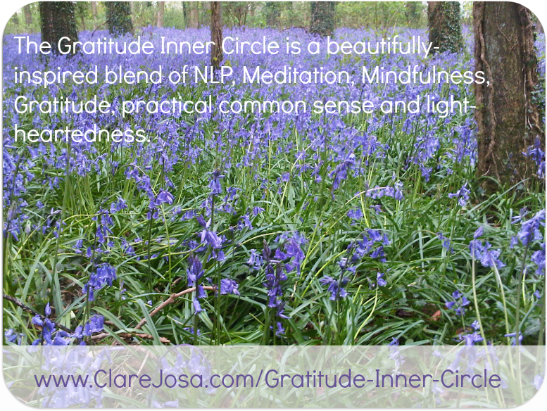 Join us for the Gratitude Inner Circle today!