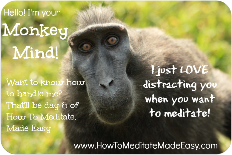 Which tricks does your Monkey Mind play when you're meditating?