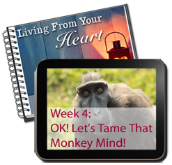 Week 4 - Let's Tame That Monkey Mind!