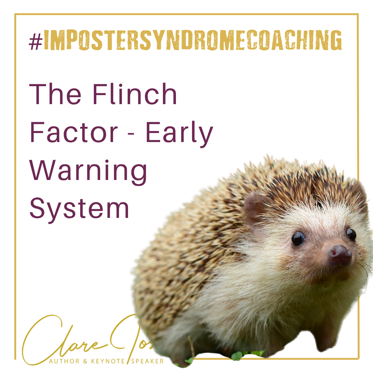 The Flinch Factor - from clare josa The Flinch Factor - from clare josa